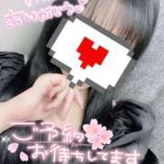 ヒメ日記 2026/04/01 19:38 投稿 双葉(ふたば) DAHLIA(ダリア)