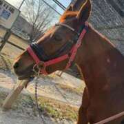 ヒメ日記 2026/01/19 21:02 投稿 【ヒカル】11月5日体験です。 マネキン神宮店