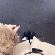 ヒメ日記 2025/11/23 14:14 投稿 りお 学園collection