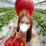ヒメ日記 2026/06/15 12:14 投稿 天内なつね ブルーバード