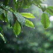 ひかる【ロイヤルOP対応】 うーん。 あなたの全てを包み込む　優しいひとづま