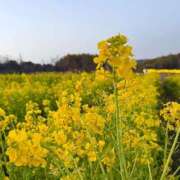 ヒメ日記 2026/03/02 10:17 投稿 るる 熟女家 梅田店