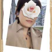 ヒメ日記 2025/11/11 16:40 投稿 寺島のりこ セカンドパートナー