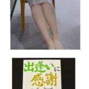 ヒメ日記 2025/11/14 20:00 投稿 寺島のりこ セカンドパートナー