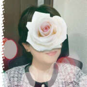 ヒメ日記 2025/12/09 11:15 投稿 寺島のりこ セカンドパートナー