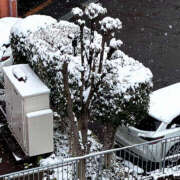 ヒメ日記 2026/02/08 14:50 投稿 寺島のりこ セカンドパートナー