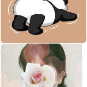 寺島のりこ ふへっな日曜日 セカンドパートナー