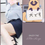 ヒメ日記 2026/02/25 21:15 投稿 寺島のりこ セカンドパートナー