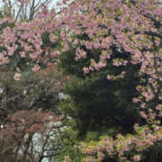 ヒメ日記 2026/03/01 15:45 投稿 寺島のりこ セカンドパートナー