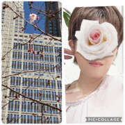 ヒメ日記 2026/03/07 14:30 投稿 寺島のりこ セカンドパートナー