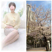 ヒメ日記 2026/03/29 21:00 投稿 寺島のりこ セカンドパートナー