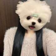 ヒメ日記 2025/11/10 12:08 投稿 神楽まな HYPER TOKYO