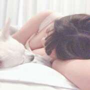 ヒメ日記 2025/12/19 17:05 投稿 もか 美熟女専科白夜