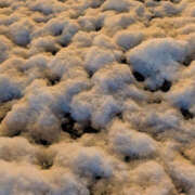 ヒメ日記 2025/11/18 22:08 投稿 すもも 恋愛マット同好会