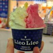 ヒメ日記 2025/11/27 08:58 投稿 すもも 恋愛マット同好会