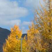 ヒメ日記 2025/11/28 23:48 投稿 すもも 恋愛マット同好会