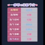 ヒメ日記 2026/03/08 01:58 投稿 すもも 恋愛マット同好会