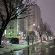 ヒメ日記 2026/03/21 09:38 投稿 すもも 恋愛マット同好会