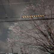 ヒメ日記 2026/03/26 09:04 投稿 すもも 恋愛マット同好会