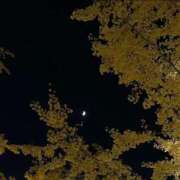 けい 道端に焦げたパン ぐっすり山田　大阪店