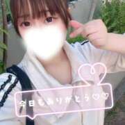 ヒメ日記 2026/05/15 03:09 投稿 あまね よくばりトロリッ痴-フェチなM性感ヘルス-神戸店