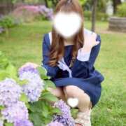 ヒメ日記 2026/06/25 14:29 投稿 あまね よくばりトロリッ痴-フェチなM性感ヘルス-神戸店