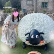 ヒメ日記 2026/03/18 11:19 投稿 ゆめか よくばりトロリッ痴-フェチなM性感ヘルス-神戸店