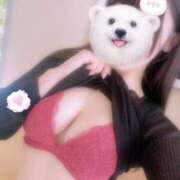 ヒメ日記 2026/02/10 19:39 投稿 カレン よくばりトロリッ痴-フェチなM性感ヘルス-神戸店