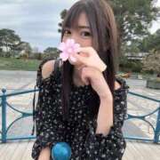 ヒメ日記 2026/03/30 13:49 投稿 カレン よくばりトロリッ痴-フェチなM性感ヘルス-神戸店