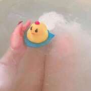 ヒメ日記 2026/03/17 10:49 投稿 ルキア よくばりトロリッ痴-フェチなM性感ヘルス-神戸店