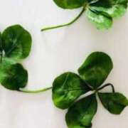 ヒメ日記 2025/11/14 19:36 投稿 和美 恋色 (コイイロ)