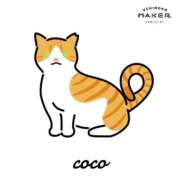 ヒメ日記 2025/11/18 11:37 投稿 かほ 三つ乱本館