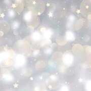 ヒメ日記 2025/11/25 16:17 投稿 かほ 三つ乱本館