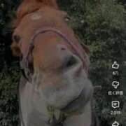 山田ゆき ありがと！ 恋する妻たち