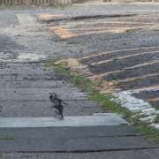 ヒメ日記 2026/01/24 19:48 投稿 山田ゆき 恋する妻たち