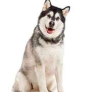 ヒメ日記 2026/02/13 11:08 投稿 山田ゆき 恋する妻たち