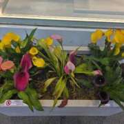 ヒメ日記 2026/02/17 07:58 投稿 山田ゆき 恋する妻たち