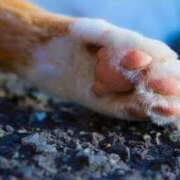 ヒメ日記 2026/03/07 20:18 投稿 山田ゆき 恋する妻たち