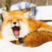 ヒメ日記 2026/03/28 15:38 投稿 山田ゆき 恋する妻たち