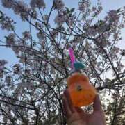 ヒメ日記 2026/04/12 09:48 投稿 山田ゆき 恋する妻たち