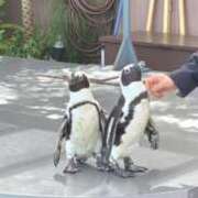 ヒメ日記 2026/04/19 17:58 投稿 山田ゆき 恋する妻たち