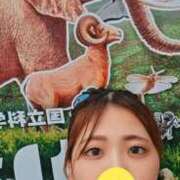ヒメ日記 2026/09/12 09:32 投稿 山田ゆき 恋する妻たち