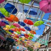 ヒメ日記 2025/11/26 09:56 投稿 清水  ゆり こあくまな人妻・熟女たち山口店（KOAKUMAグループ）