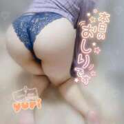 ヒメ日記 2025/11/30 21:21 投稿 ゆり 千葉北インターちゃんこ