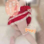 ヒメ日記 2026/04/20 20:17 投稿 ゆり 千葉北インターちゃんこ