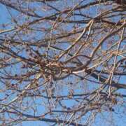 ヒメ日記 2026/04/28 20:08 投稿 ちはや ソープランド AQUA（アクア）