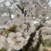 ヒメ日記 2025/11/05 19:11 投稿 ココロ ドMな奥様 大阪本店