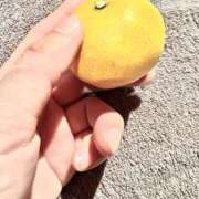 あすか 今年の冬は☆ 美熟女専科白夜