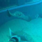 ヒメ日記 2026/02/21 09:19 投稿 きらり オナクラ大人女子