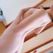 ヒメ日記 2025/11/07 02:17 投稿 セイラ(奥方) 奥様幕府